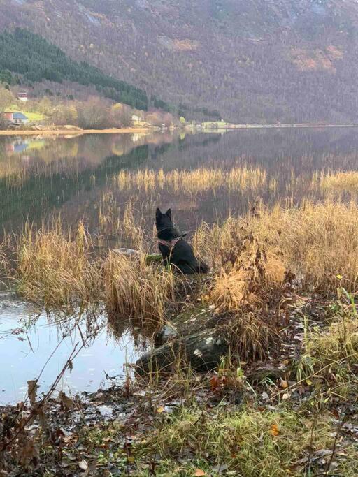 Minihus Med Drommeutsikt Til Sunnmorsalpene Daire Aure  Dış mekan fotoğraf