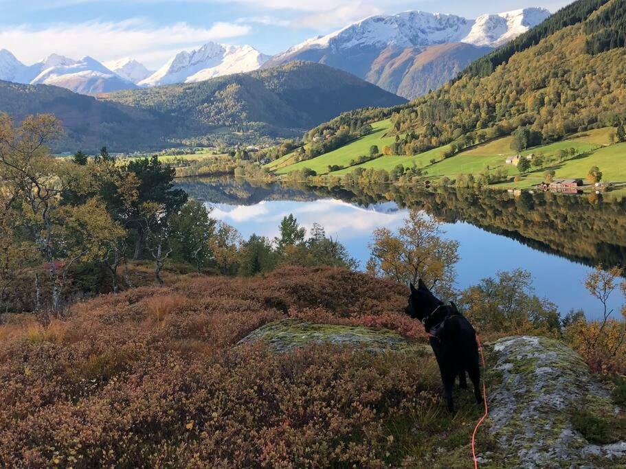 Minihus Med Drommeutsikt Til Sunnmorsalpene Daire Aure  Dış mekan fotoğraf