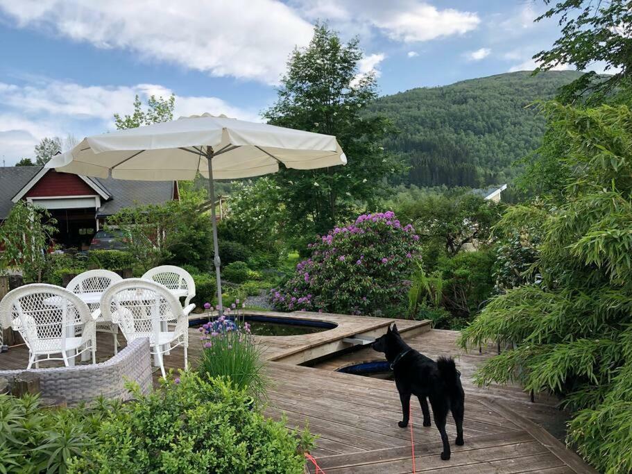 Minihus Med Drommeutsikt Til Sunnmorsalpene Daire Aure  Dış mekan fotoğraf